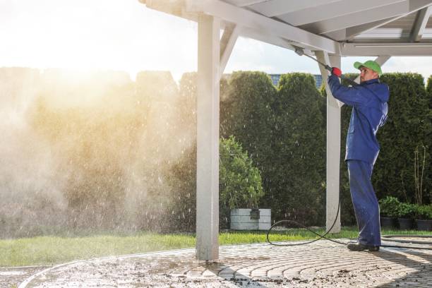 Best Roof Washing  in New Port Richey East, FL